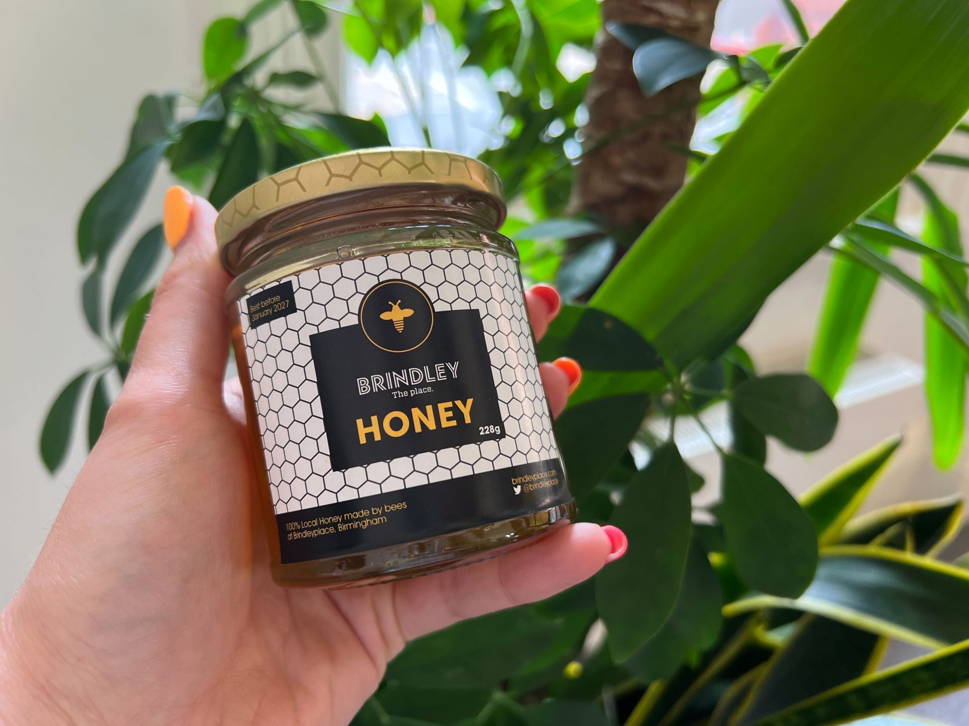 A hand holds a jar of Brindleyplace Honey in front of the green leaves of a plant.