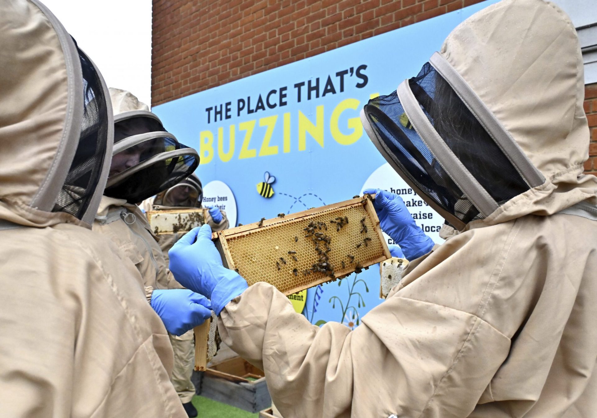 A group of people wearing protective bee suites that have attached hoods with mesh around the faces for visibility look at honeycomb held in their blue gloved hands. Int he background a blue billboard size image says The Place That's Buzzing in black and yellow.