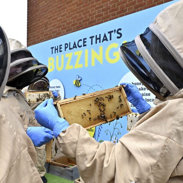 A group of people wearing protective bee suites that have attached hoods with mesh around the faces for visibility look at honeycomb held in their blue gloved hands. Int he background a blue billboard size image says The Place That's Buzzing in black and yellow.