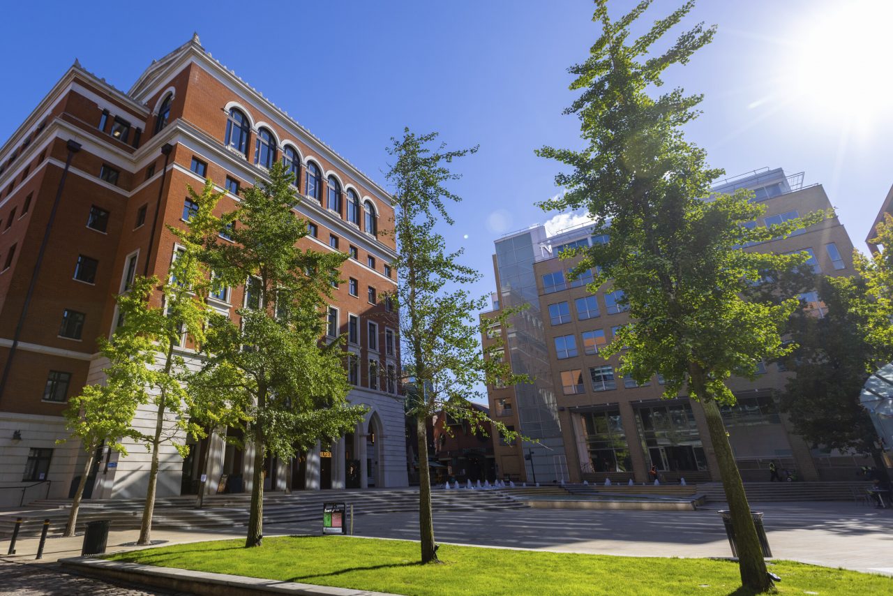 A photo of Brindleyplace' Central Square with four young treese in the foreground and the fountain and 3 and 2 Brindleyplace in the background.