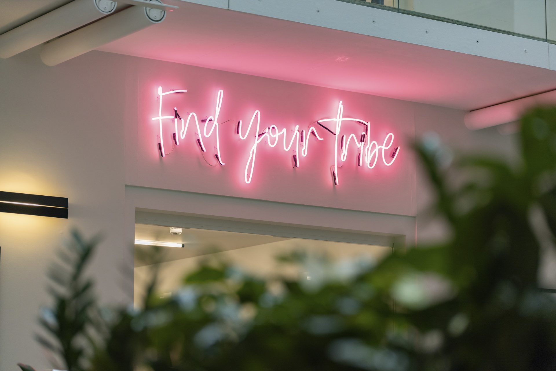 A 'find your tribe' pink neom light hangs above a doorway in the background of the photo with blurred leaves in the foreground.