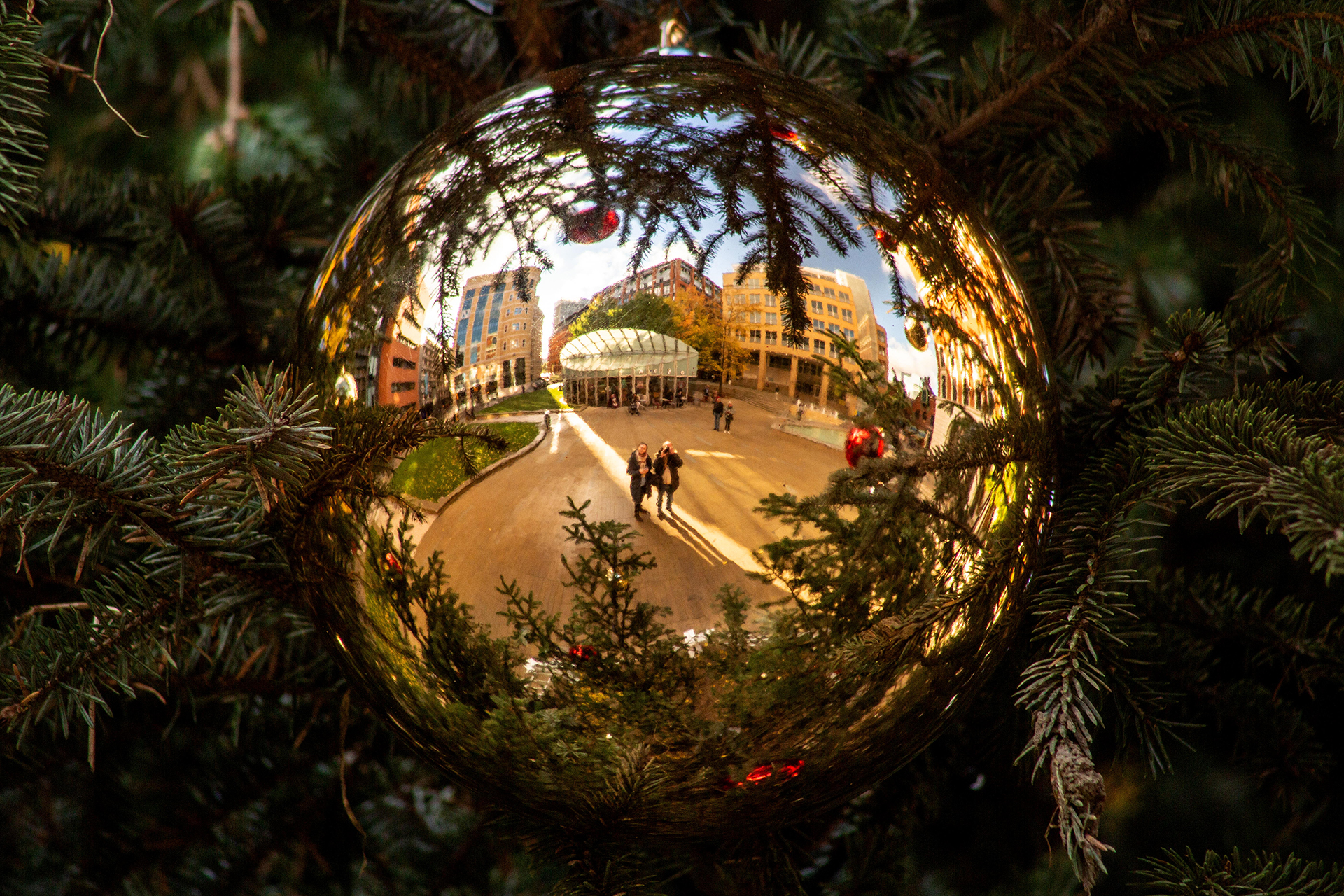 Christmas bauble reflection