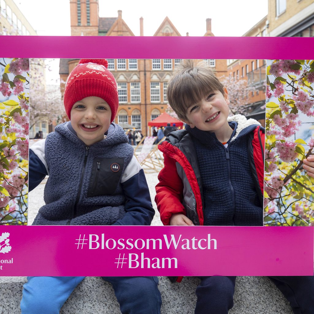 BlossamWatch at Brindley