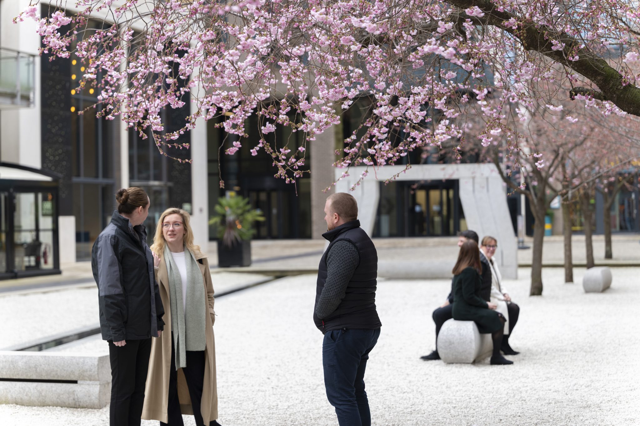 National Trust - Blossom Watch Launch - Brindleyplace, Birmingham